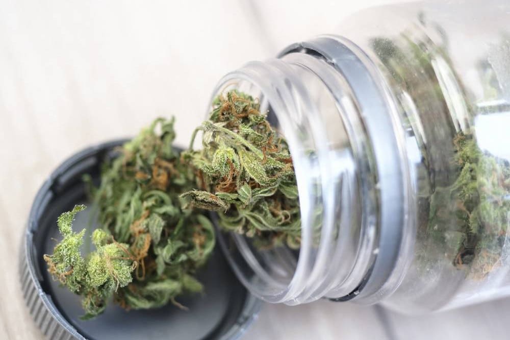 qualité d'une fleur de CBD shop en ligne